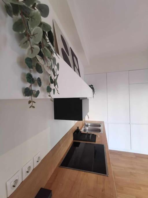 דירות Cdv Stylish Athens Flat מראה חיצוני תמונה